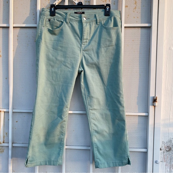 curve appeal capris pants